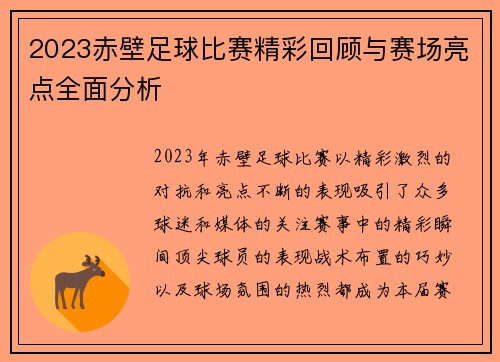 2023赤壁足球比赛精彩回顾与赛场亮点全面分析