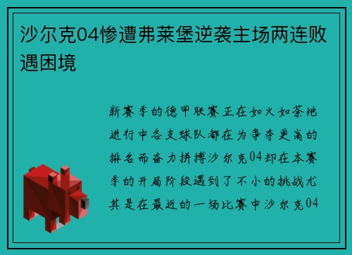 沙尔克04惨遭弗莱堡逆袭主场两连败遇困境